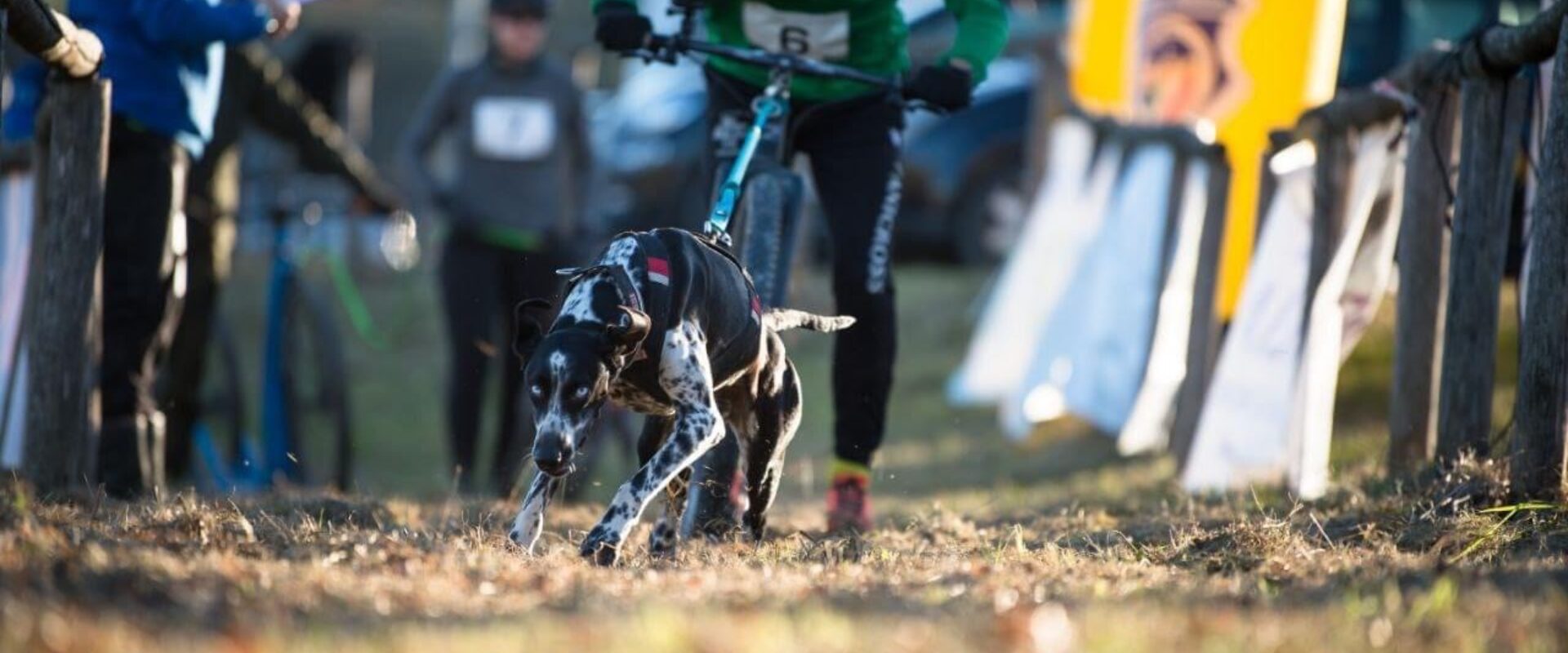 B9DDE80C-D1F3-4A5B-92C7-5062BDD785CB Niccolò Lattanzi