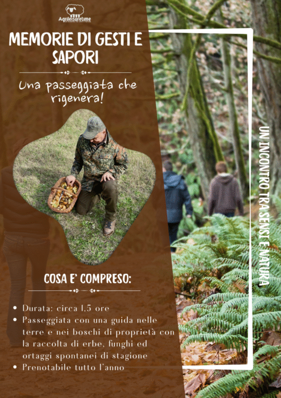 MEMORIE DI GESTI E SAPORI