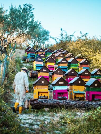 C21FF88F-D8B2-4F3D-A6AA-9C57FB7869C9